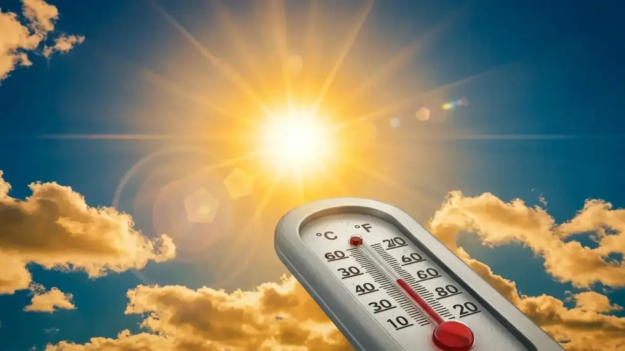 هيئة الأرصاد تحذر من طقس حار وغبار يؤثر على التنفس في مصر